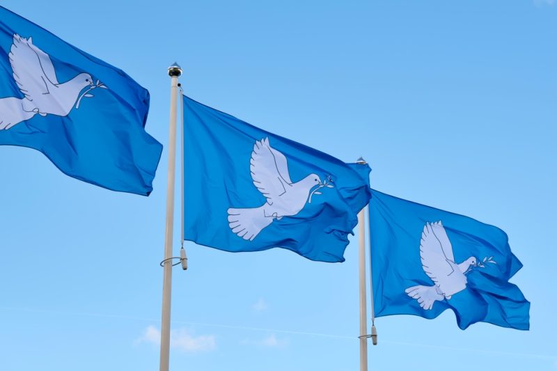 La proposta di istituire un Ministero della Pace e le sue ragioni cover image