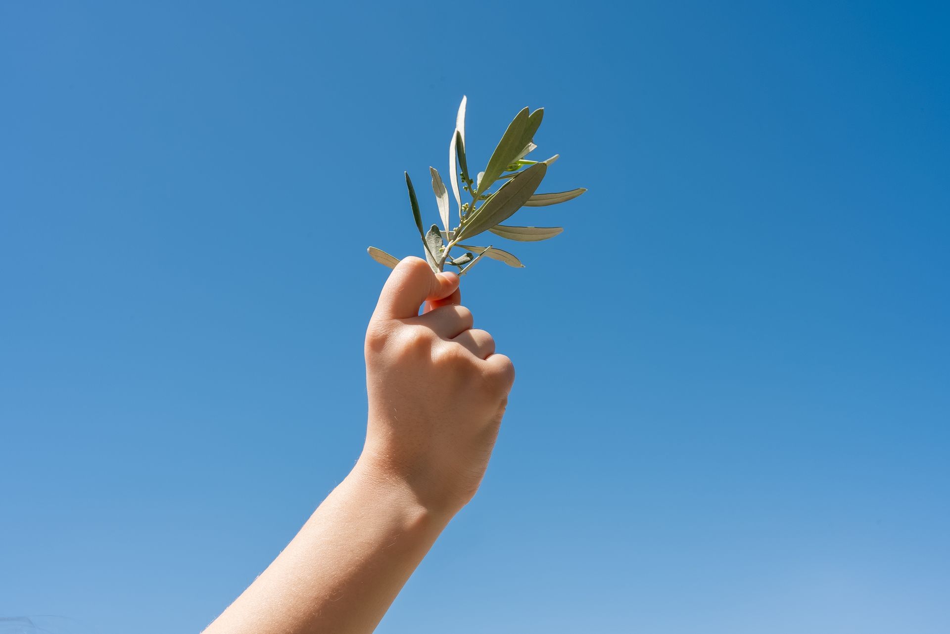 Educazione e pace, oggi