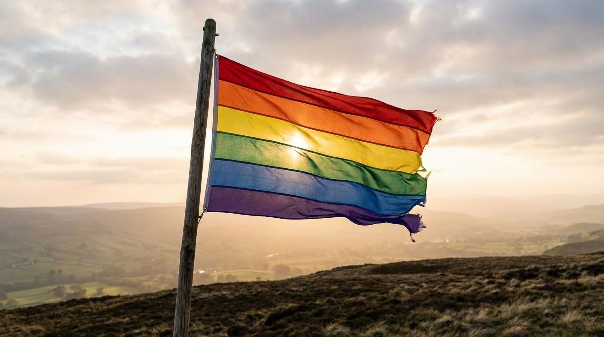 Una pace disarmata e disarmante: stili, organizzazione e strumenti