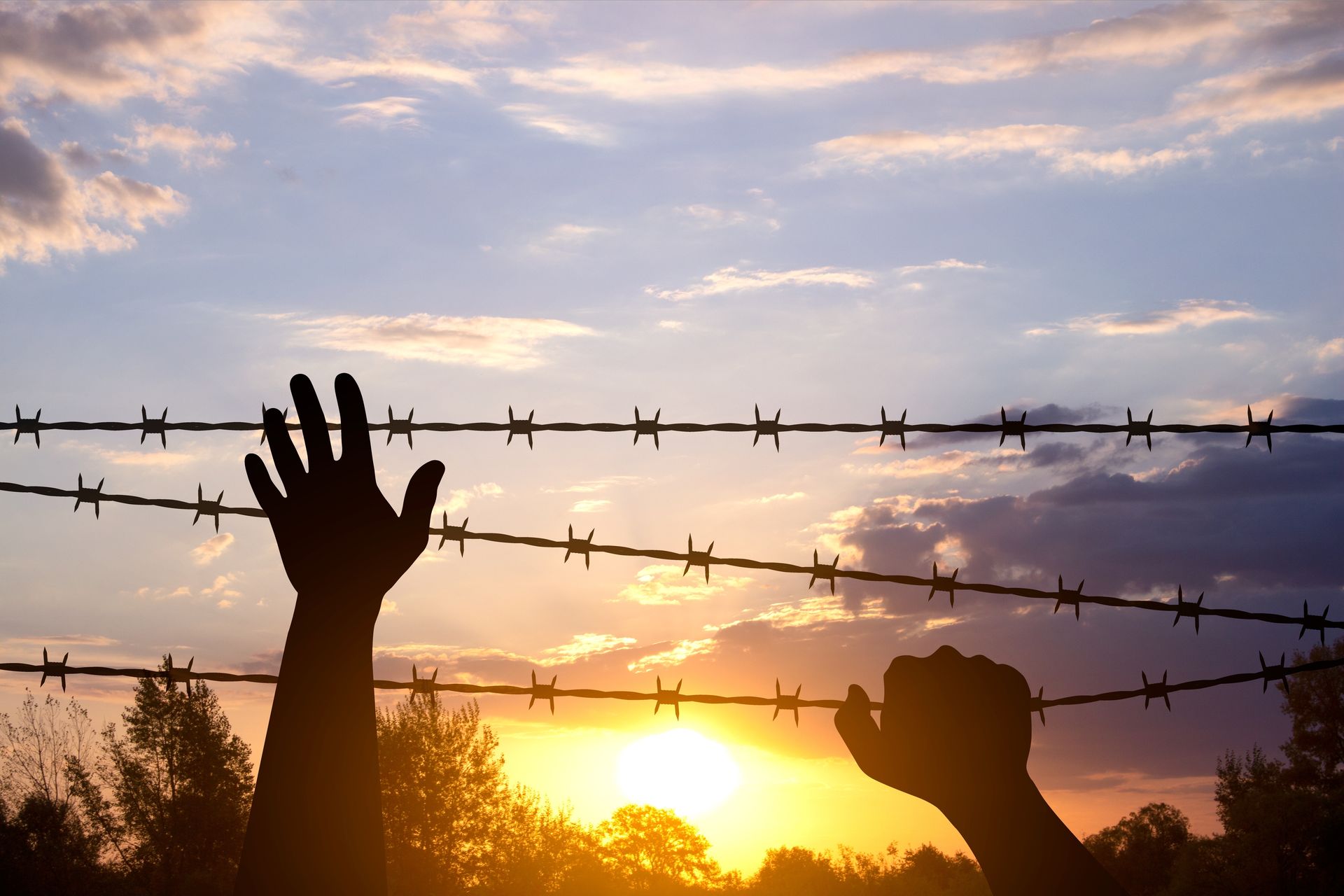 Il Giorno della Memoria. Tra passato e presente