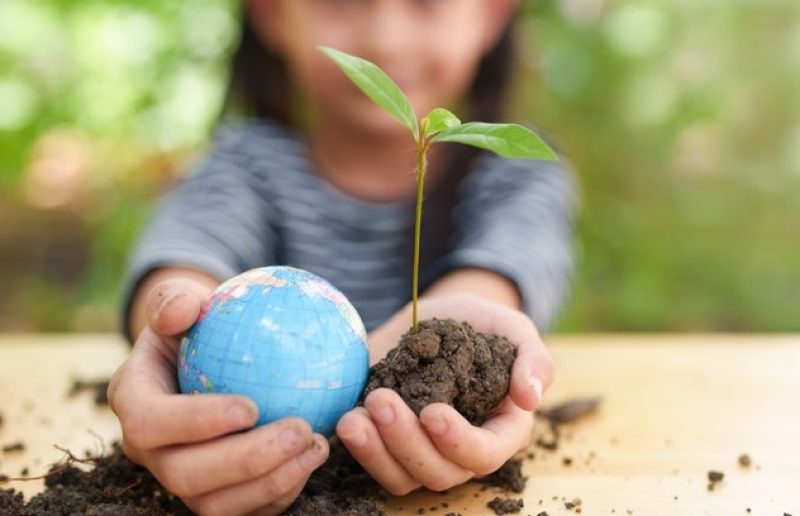 Chiamata alla responsabilità ecologica