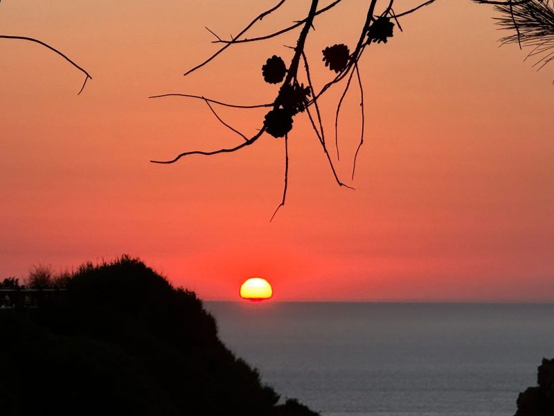 Alla ricerca della sapienza di un maestro