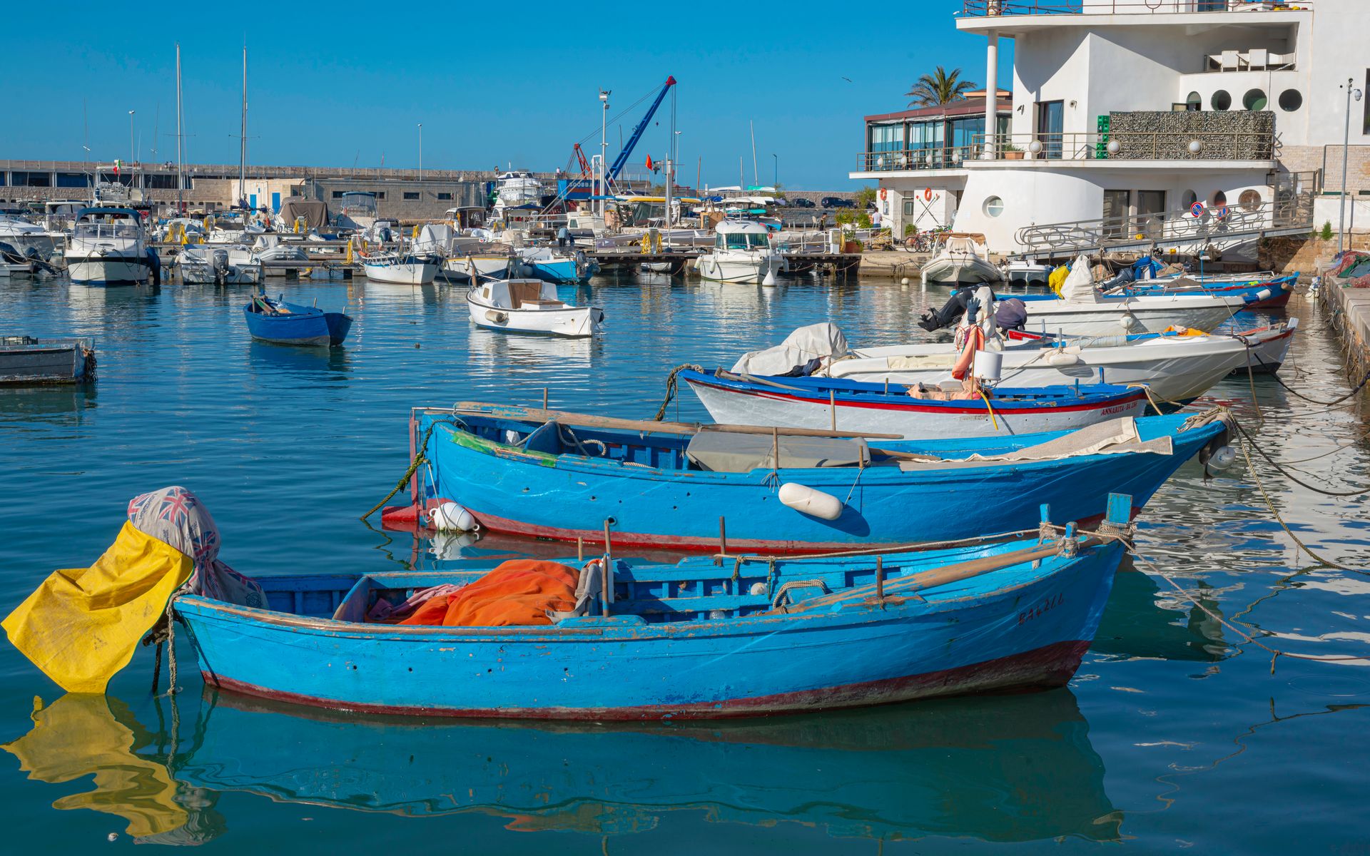 Il Mediterraneo è già tra i banchi